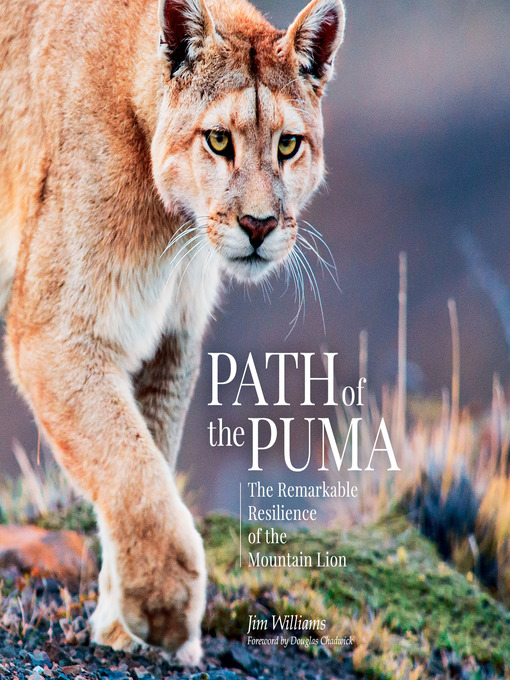 Title details for Path of the Puma by Jim Williams - Available